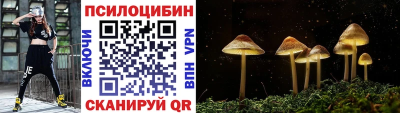 Псилоцибиновые грибы мицелий  Княгинино 