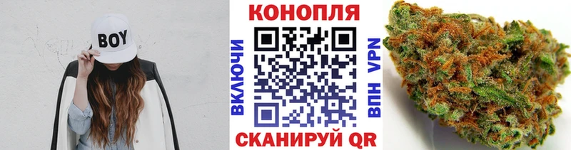 Марихуана план Княгинино